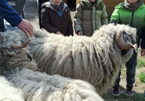 Dzieci w mini zoo