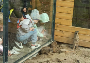 Dzieci w mini zoo