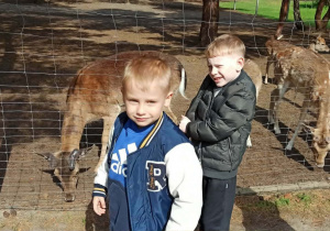 Dzieci w mini zoo