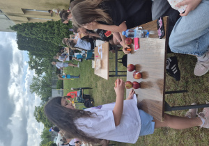 piknik
